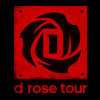 FW13_D_Rose_Tour_Tshirt_Front