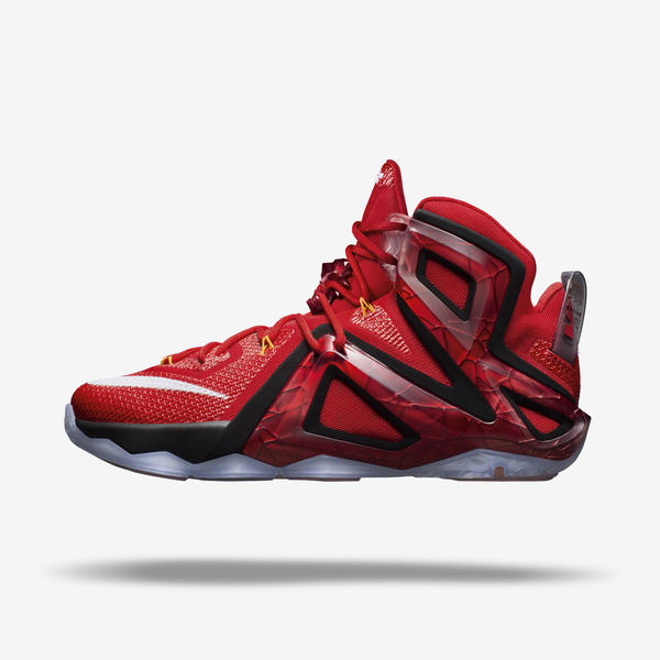 lebron james shoes 12 price